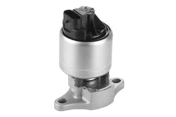EGR Valve (VA7069)