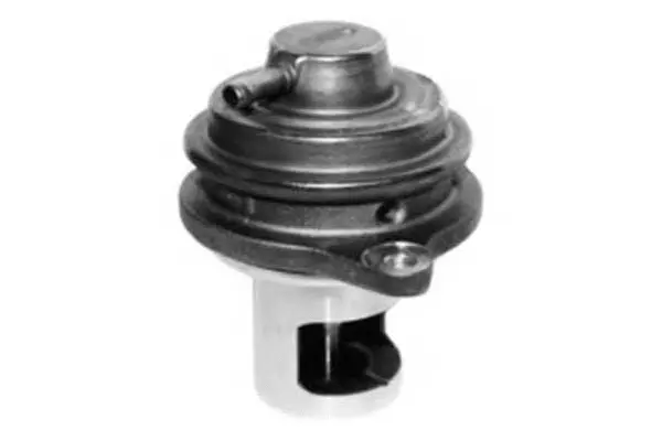 EGR Valve (VA7065)