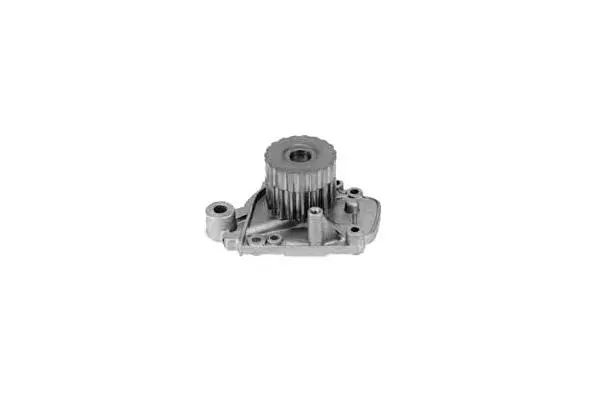 Water Pump, engine cooling (W669)