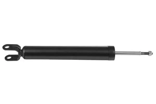 Shock Absorber (AM5719)
