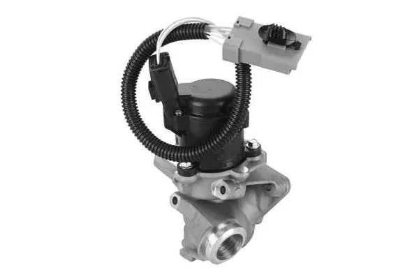 EGR Valve (VA7042)