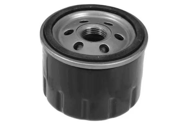Oil Filter (FH1069)