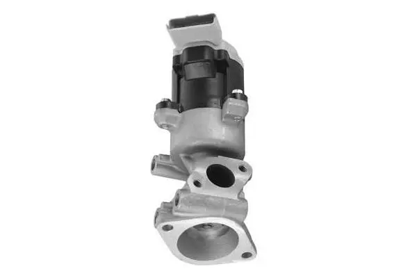 EGR Valve (VA7034)
