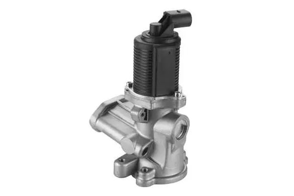 EGR Valve (VA7030)