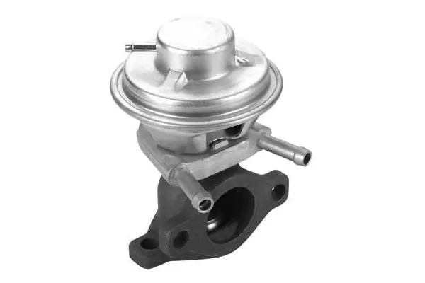 EGR Valve (VA7119)