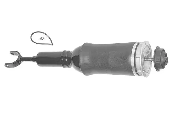 Air Suspension Strut (AMP1000)