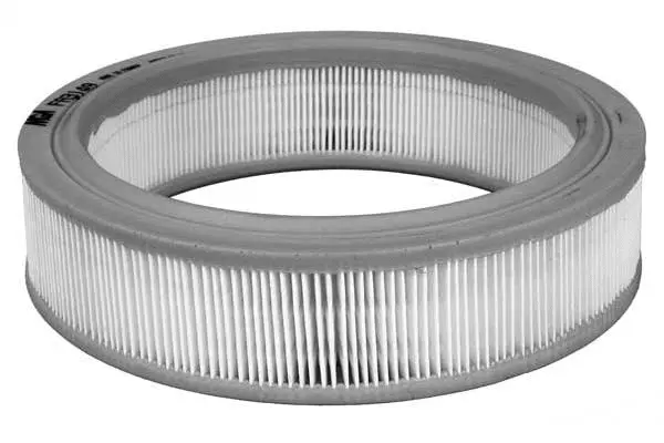 Air Filter (FA3149)