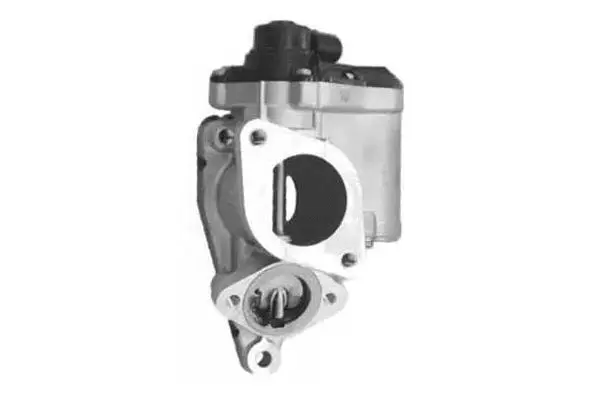 EGR Valve (VA7044)