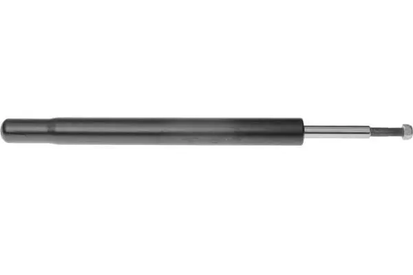 Shock Absorber (AM5669H)