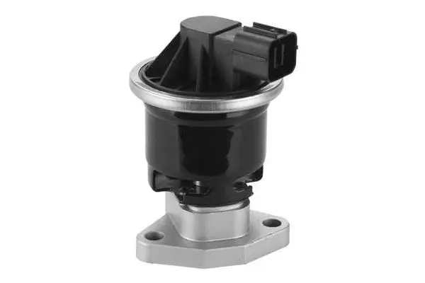 EGR Valve (VA7152)