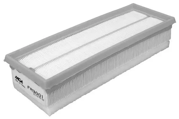 Air Filter (FA3001)