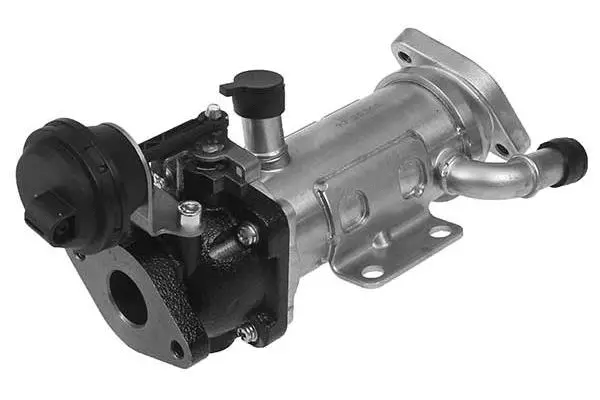 Cooler, exhaust gas recirculation (VG7236)