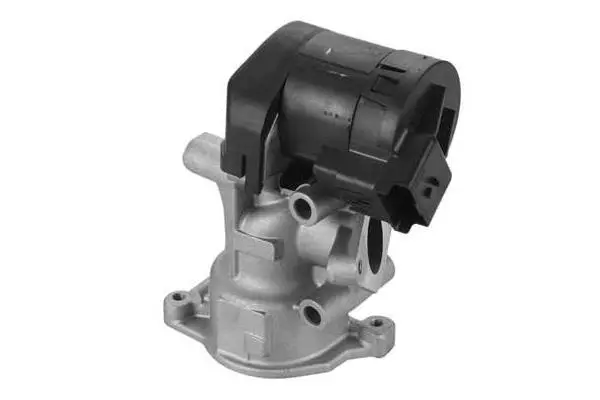 EGR Valve (VA7004)
