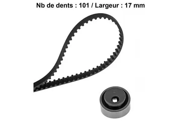 Timing Belt Kit (X066H1)