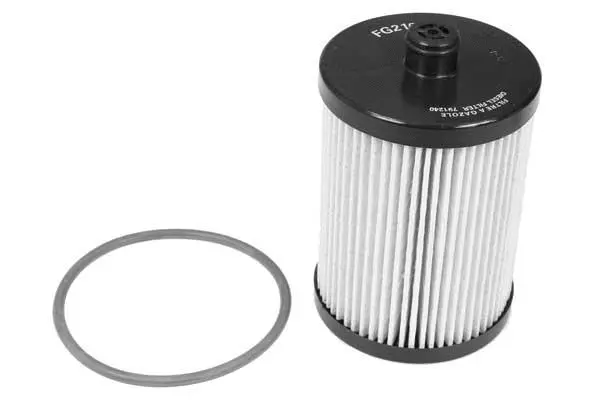 Fuel Filter (FG2104)