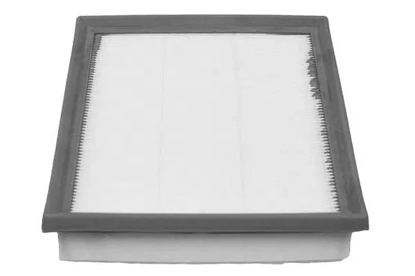 Air Filter (FA3456)
