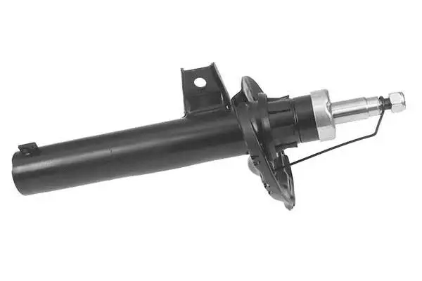 Shock Absorber (AM5866)