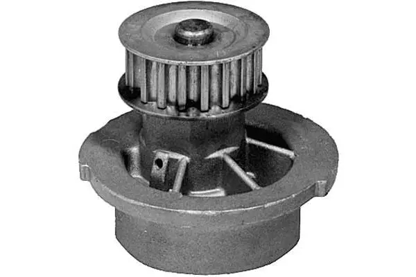 Water Pump, engine cooling (W442)