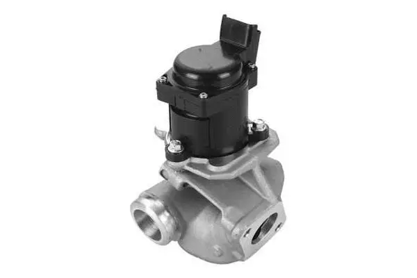 EGR Valve (VA7000)