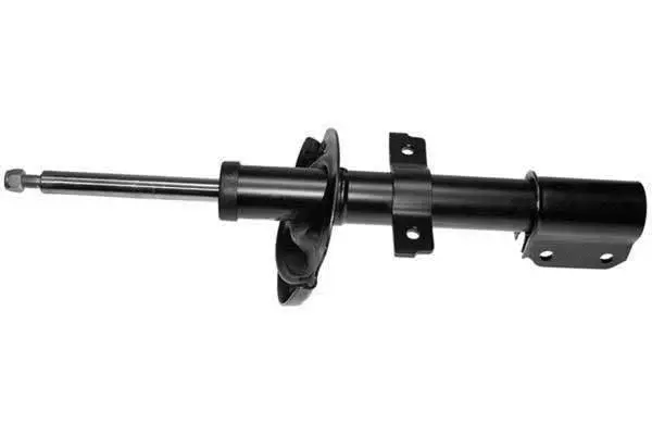 Shock Absorber (AM5596)