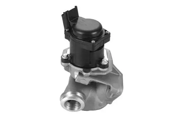 EGR Valve (VA7005)