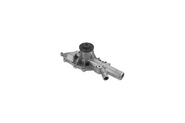 Water Pump, engine cooling (W1006)