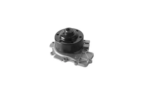Water Pump, engine cooling (W1278)
