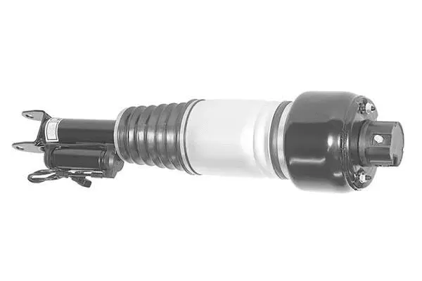 Air Suspension Strut (AMP3010)