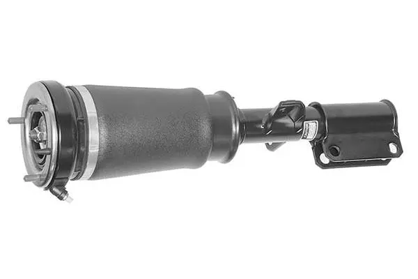 Air Suspension Strut (AMP2009)