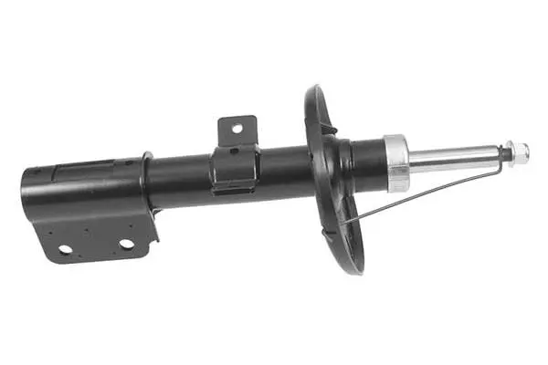 Shock Absorber (AM5925)