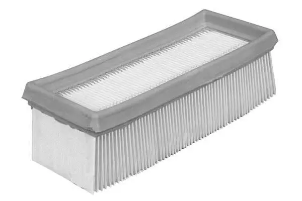 Air Filter (FA3079)