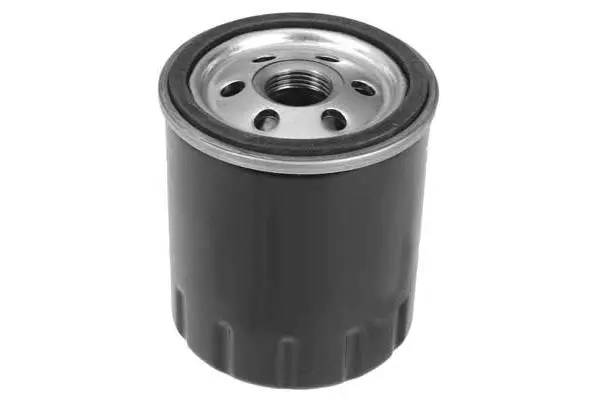 Oil Filter (FH1079)
