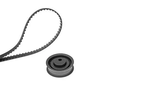 Timing Belt Kit (X1711)