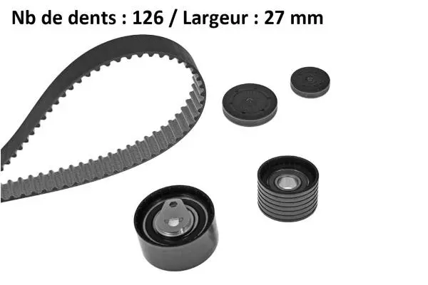 Timing Belt Kit (X546H2)