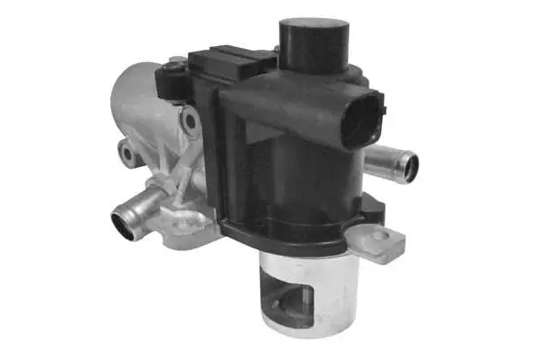 EGR Valve (VA7033)