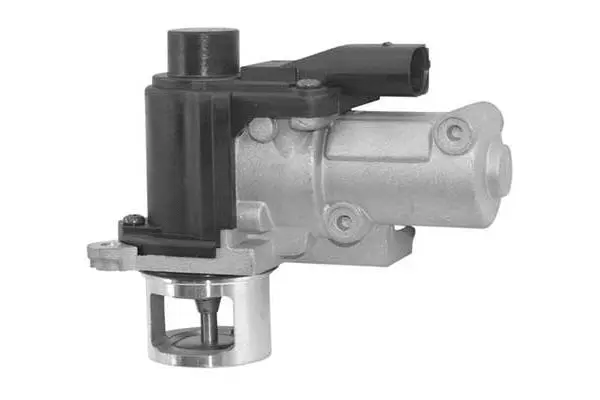 EGR Valve (VA7127)