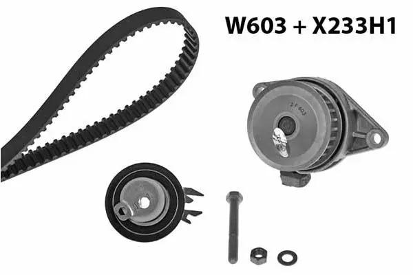 Water Pump & Timing Belt Kit (603K1)