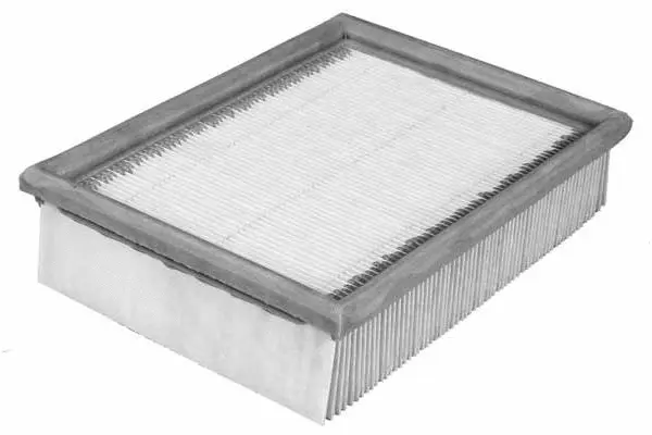 Air Filter (FA3155)
