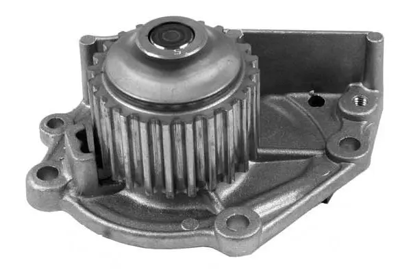 Water Pump, engine cooling (W427)