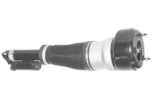 Air Suspension Strut (AMP1009)
