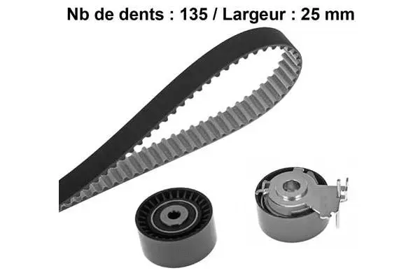 Timing Belt Kit