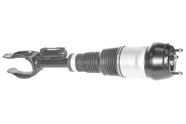 Air Suspension Strut (AMP2017)