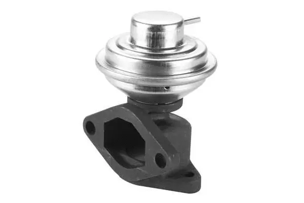 EGR Valve (VA7122)