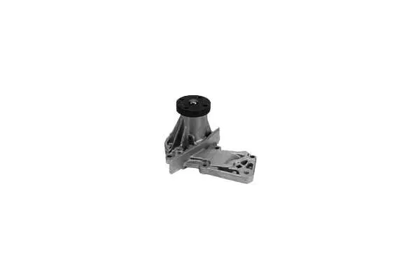 Water Pump, engine cooling (W990)