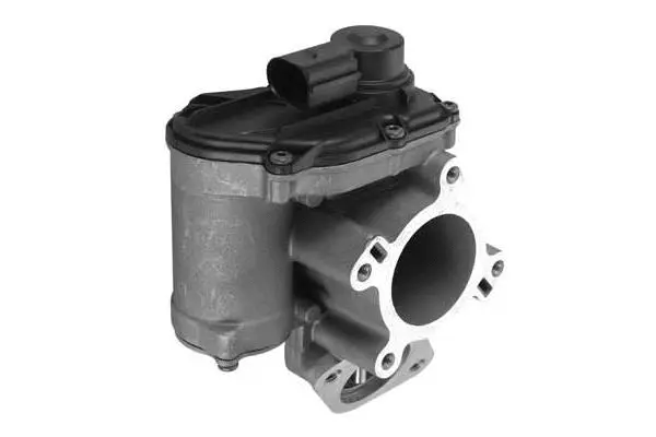 EGR Valve (VA7110)