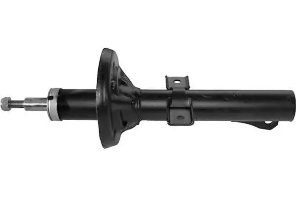 Shock Absorber (AM5087)