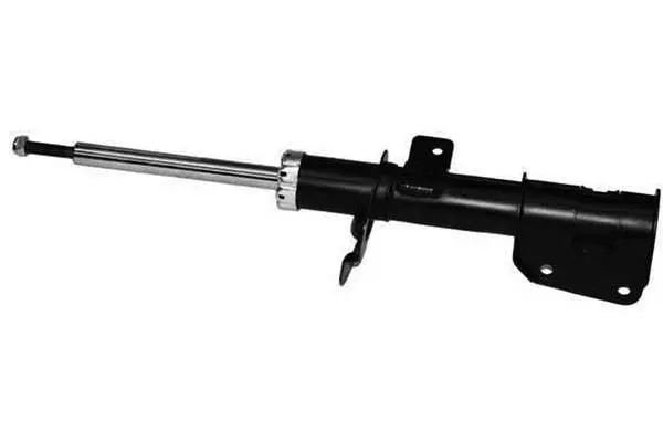 Shock Absorber (AM5565)