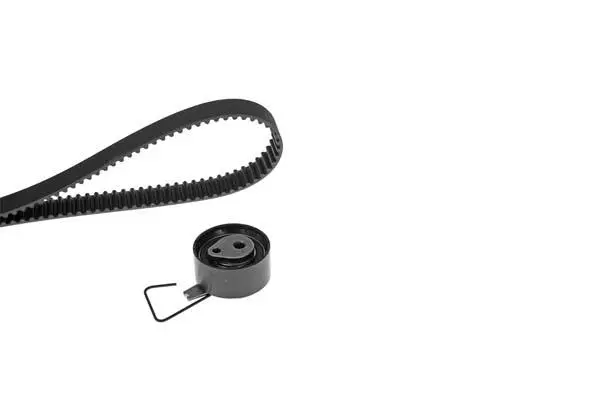 Timing Belt Kit (X494H1)