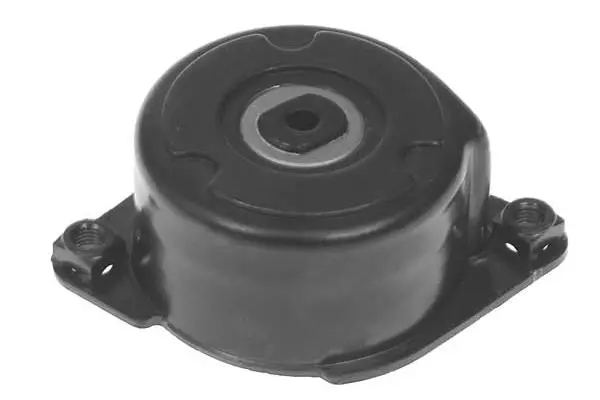 Tensioner Pulley, V-ribbed belt (GA4255)