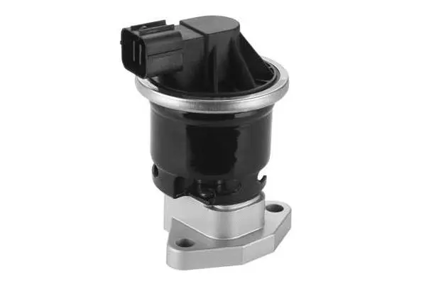EGR Valve (VA7134)